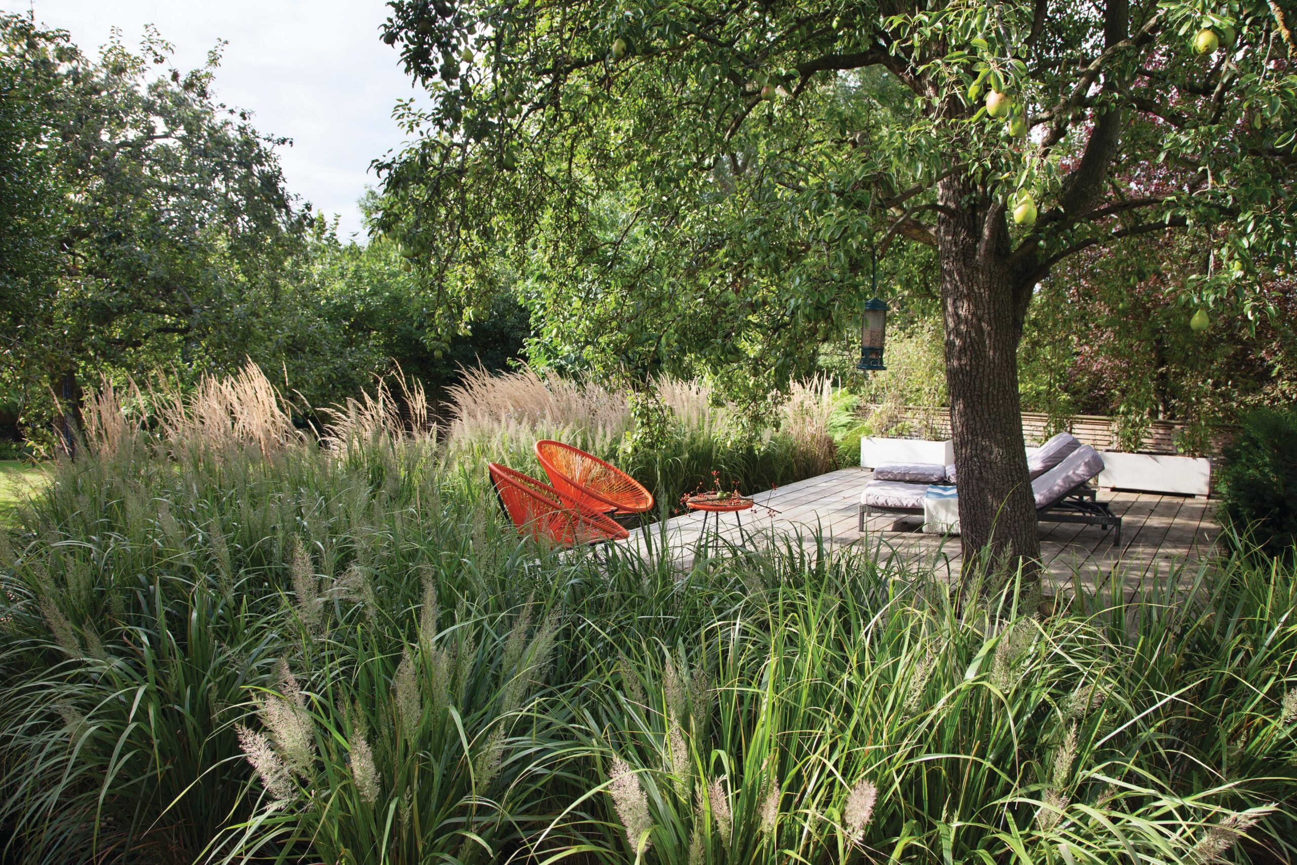 Barbara Samitier-designed London garden