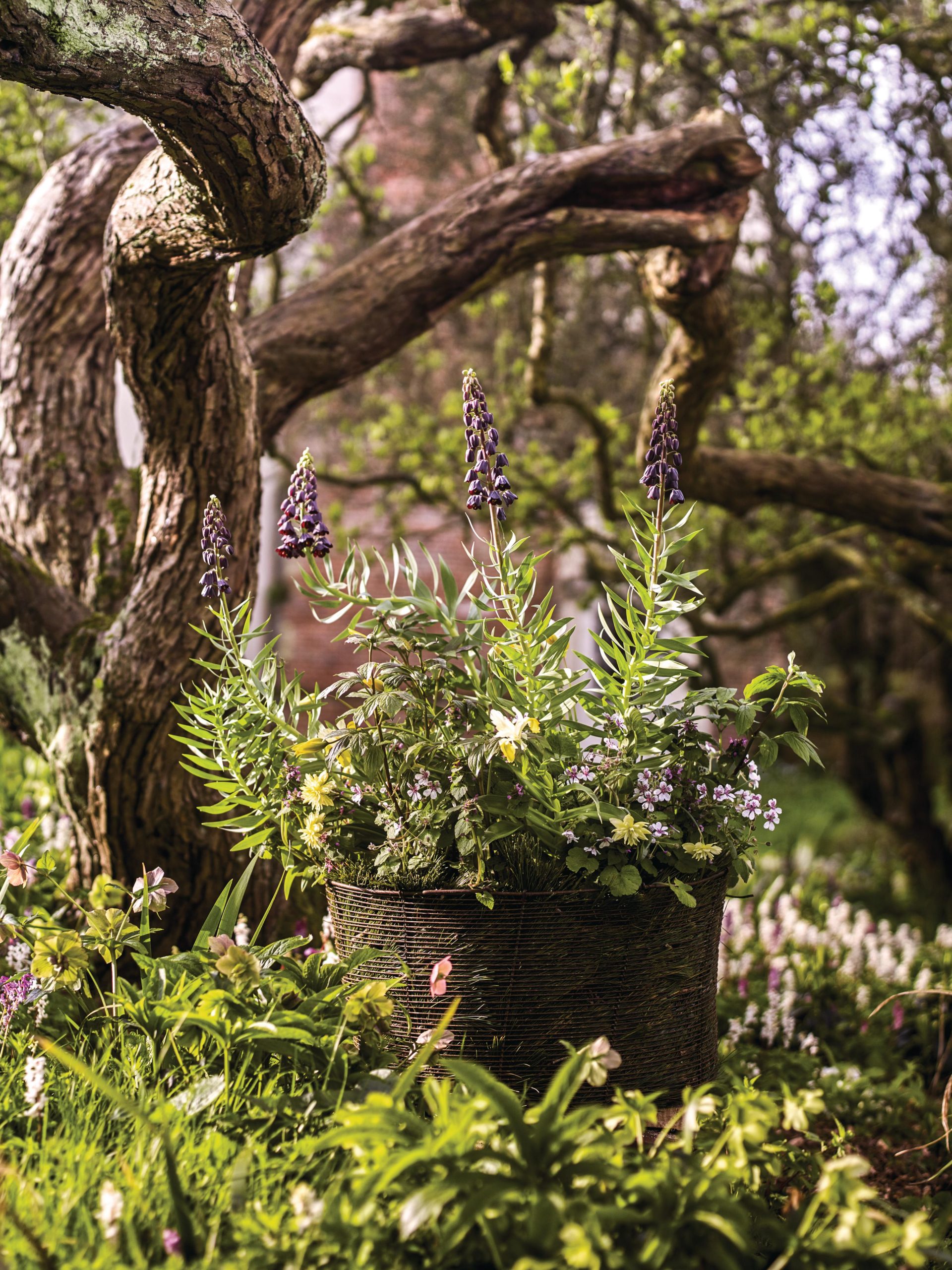 James Horner's spring pot at Benton End