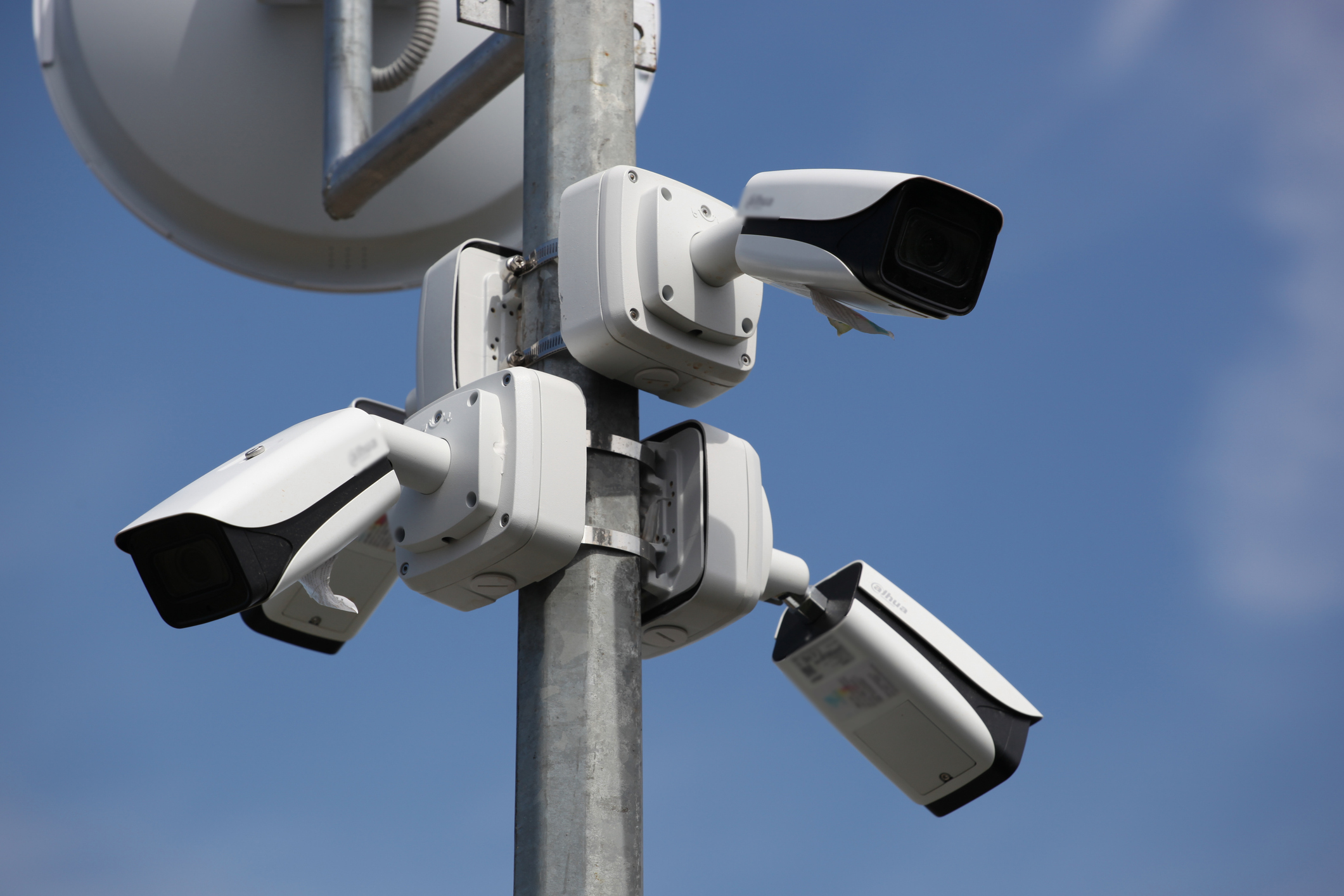 Garden centres are becoming areas of high surveillance.