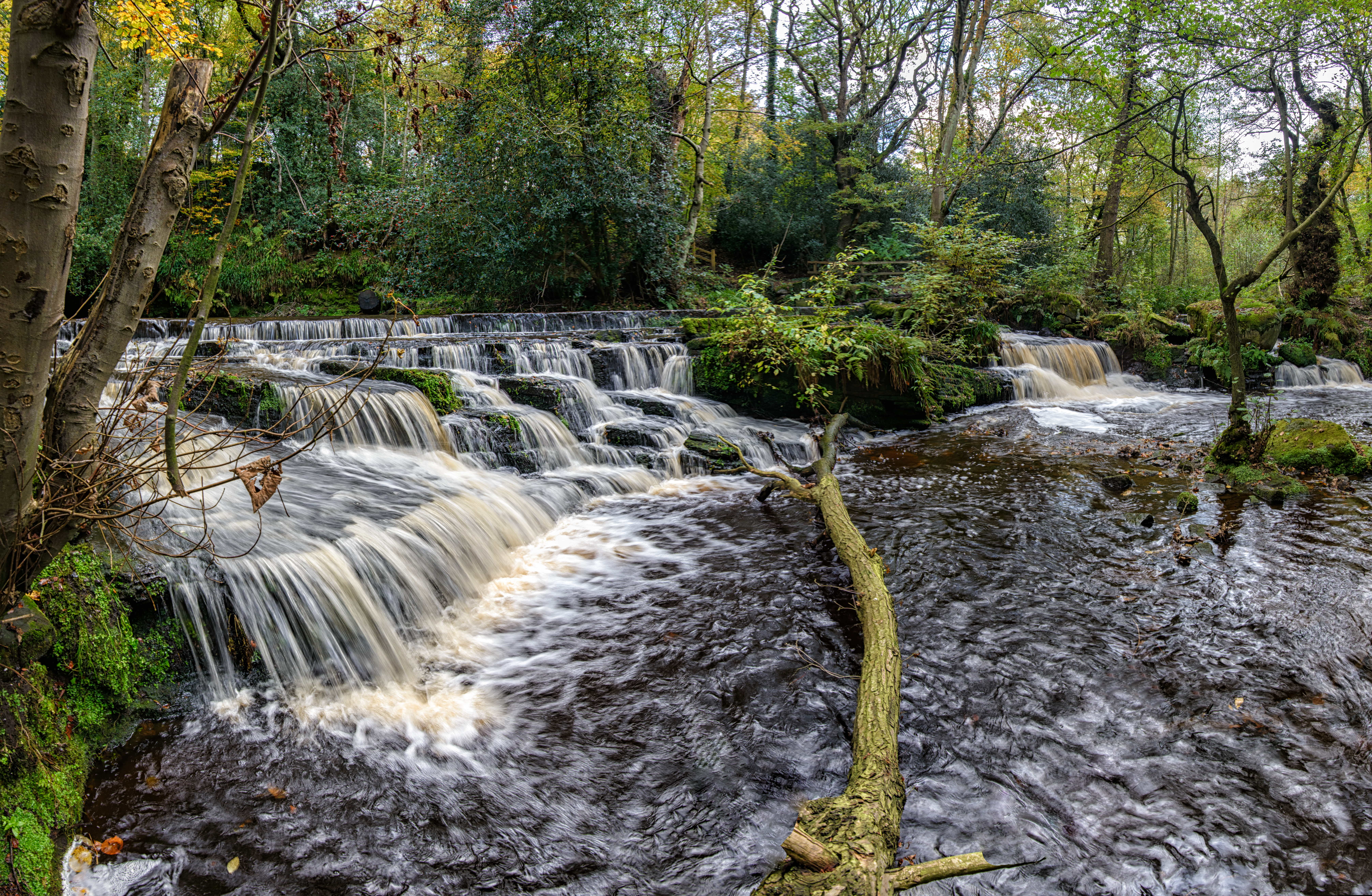The River Rivelin, flowing down towards Sheffield