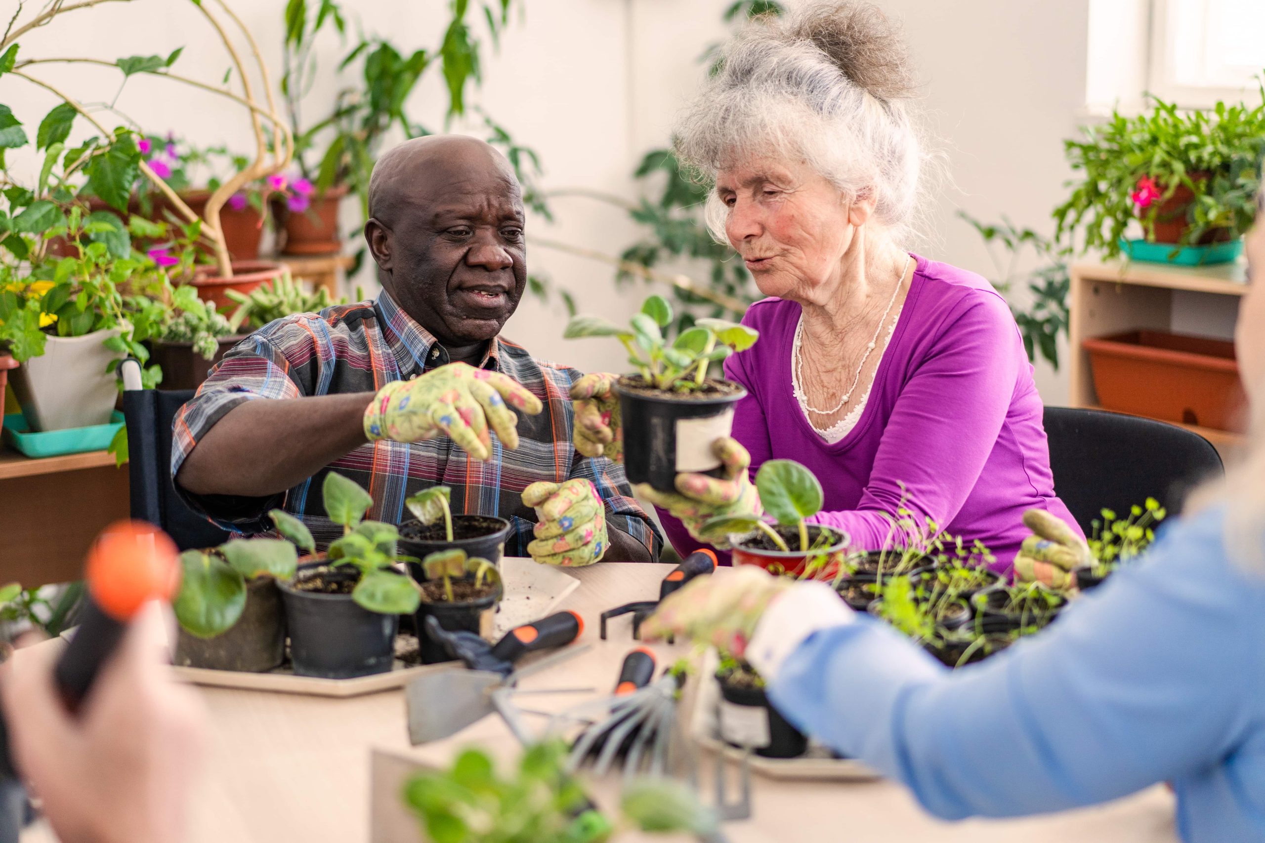 An older black man and white, grey haired woman sit at a table of seedling pots, wearing gardening gloves and appearing to be potting up plants