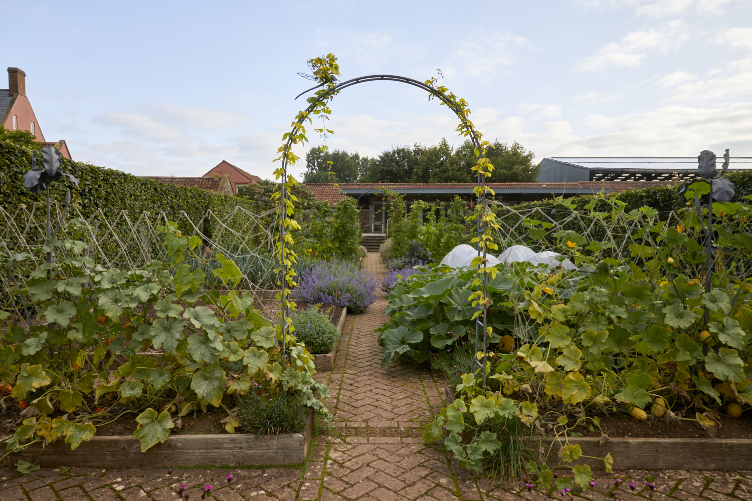 Yeo Valley Organic Garden