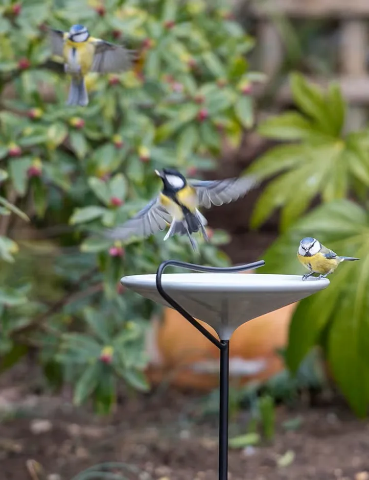 Stake bird bath - putty grey