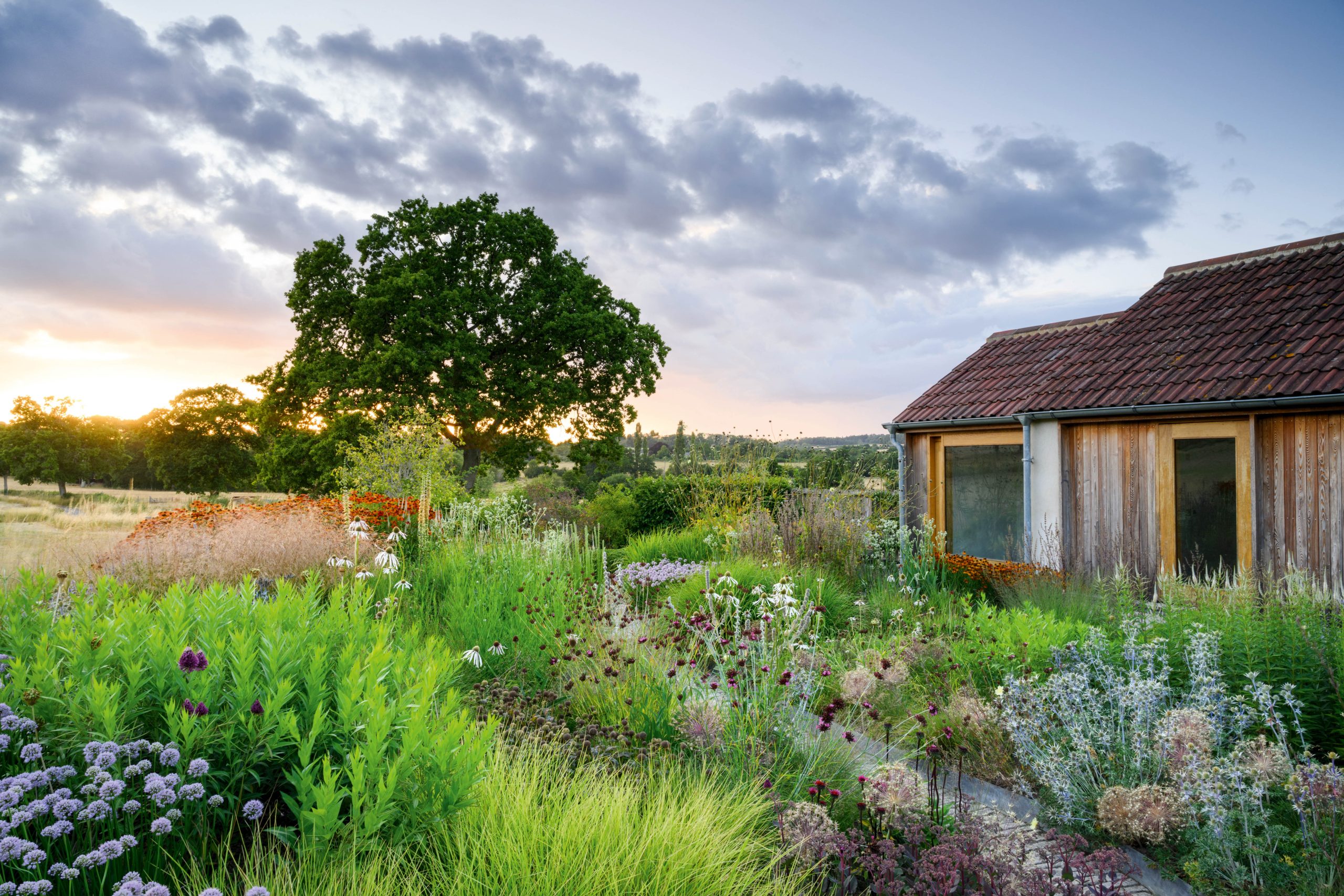 Sheila Jack's garden in Wiltshire