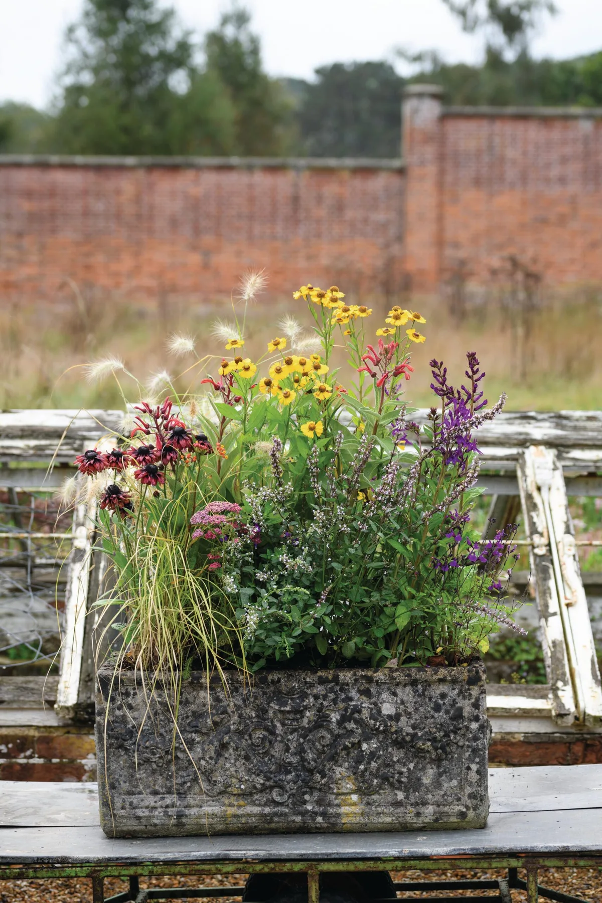 Beautiful pot planted by Jo Thompson for late-summer to autumn
