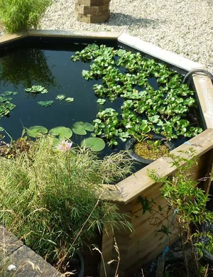 Octagonal pond An octagonal pond in a garden