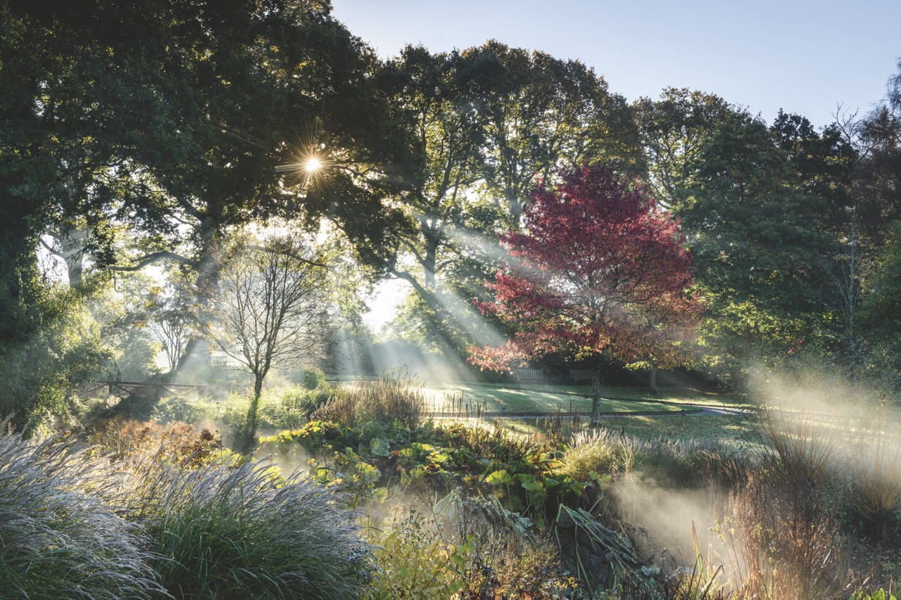 © Jason Ingram / View of RHS Rosemoor - View from the Lake with Liquidambar styraciflua 'Worplesdon'