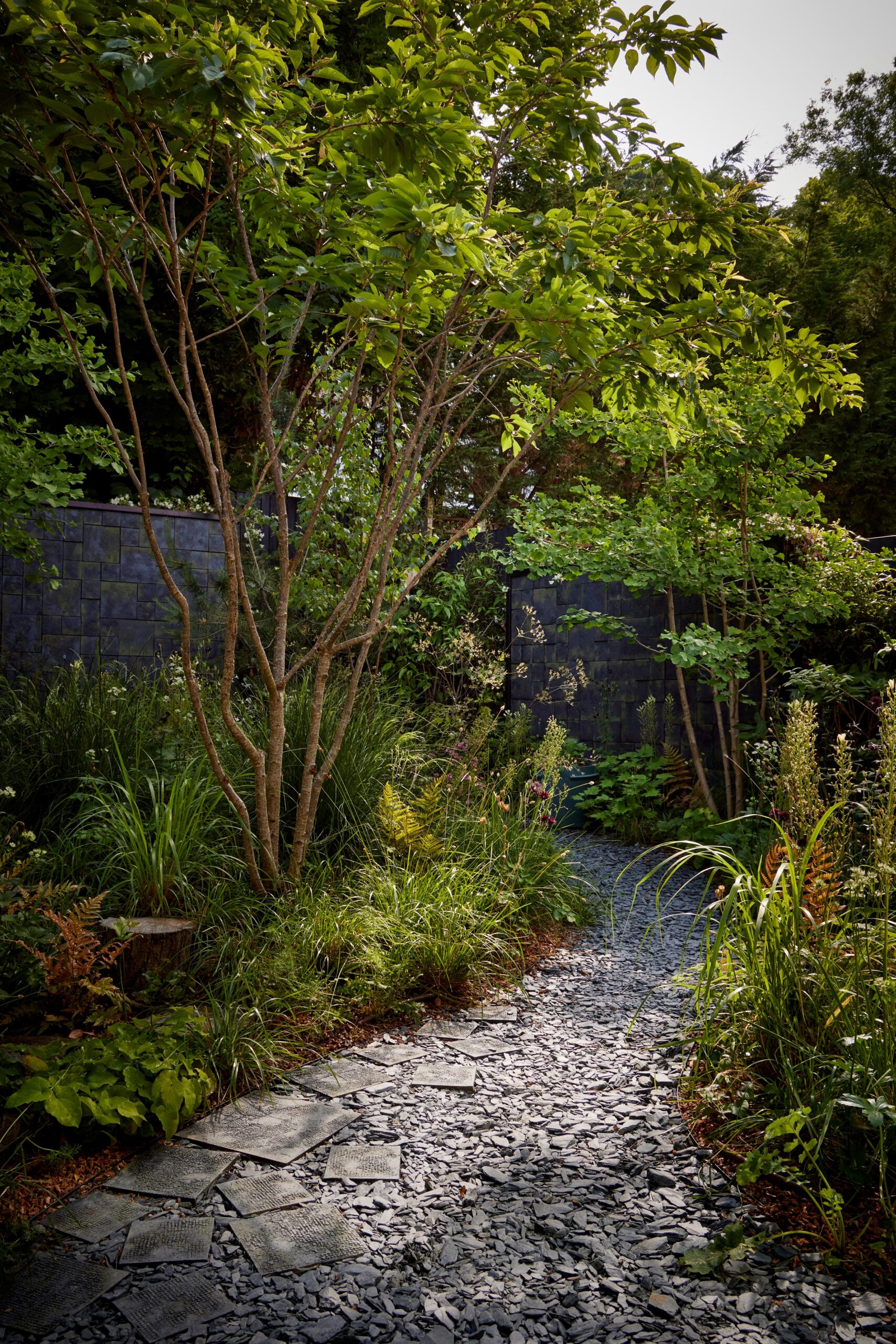 A South London project with 9 trees in 100sqm