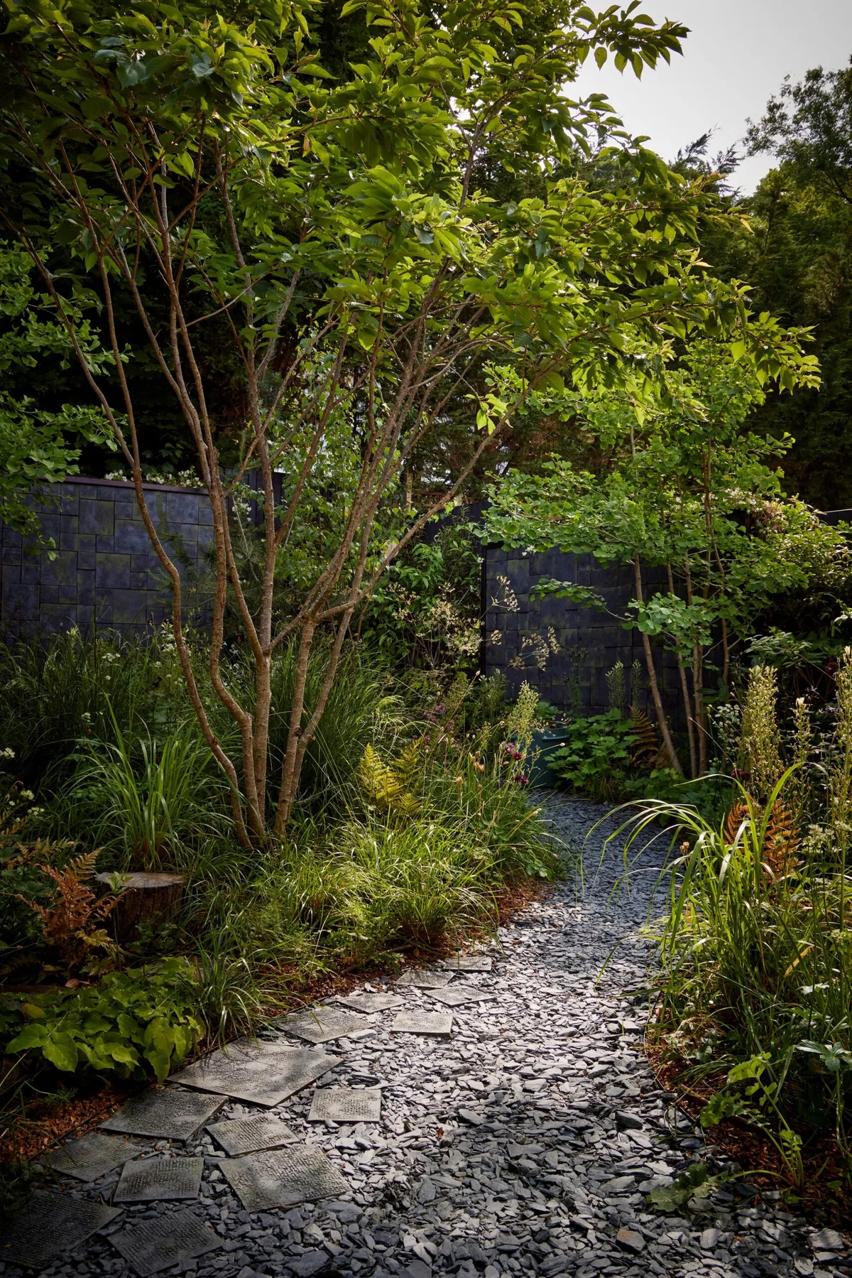 A South London project with 9 trees in 100sqm