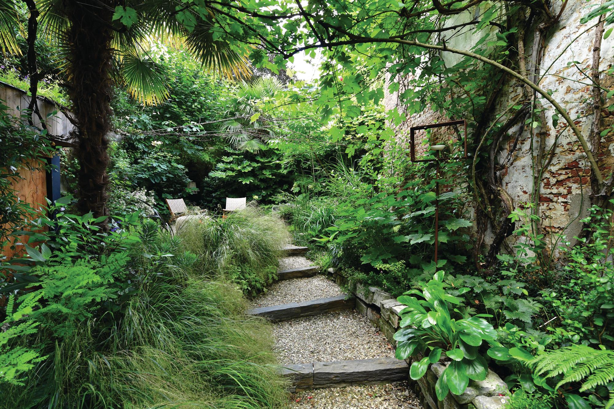 Green lush garden with steps and chairs