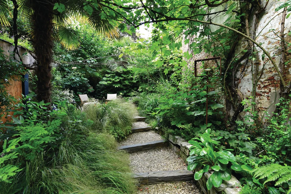 Green lush garden with steps and chairs