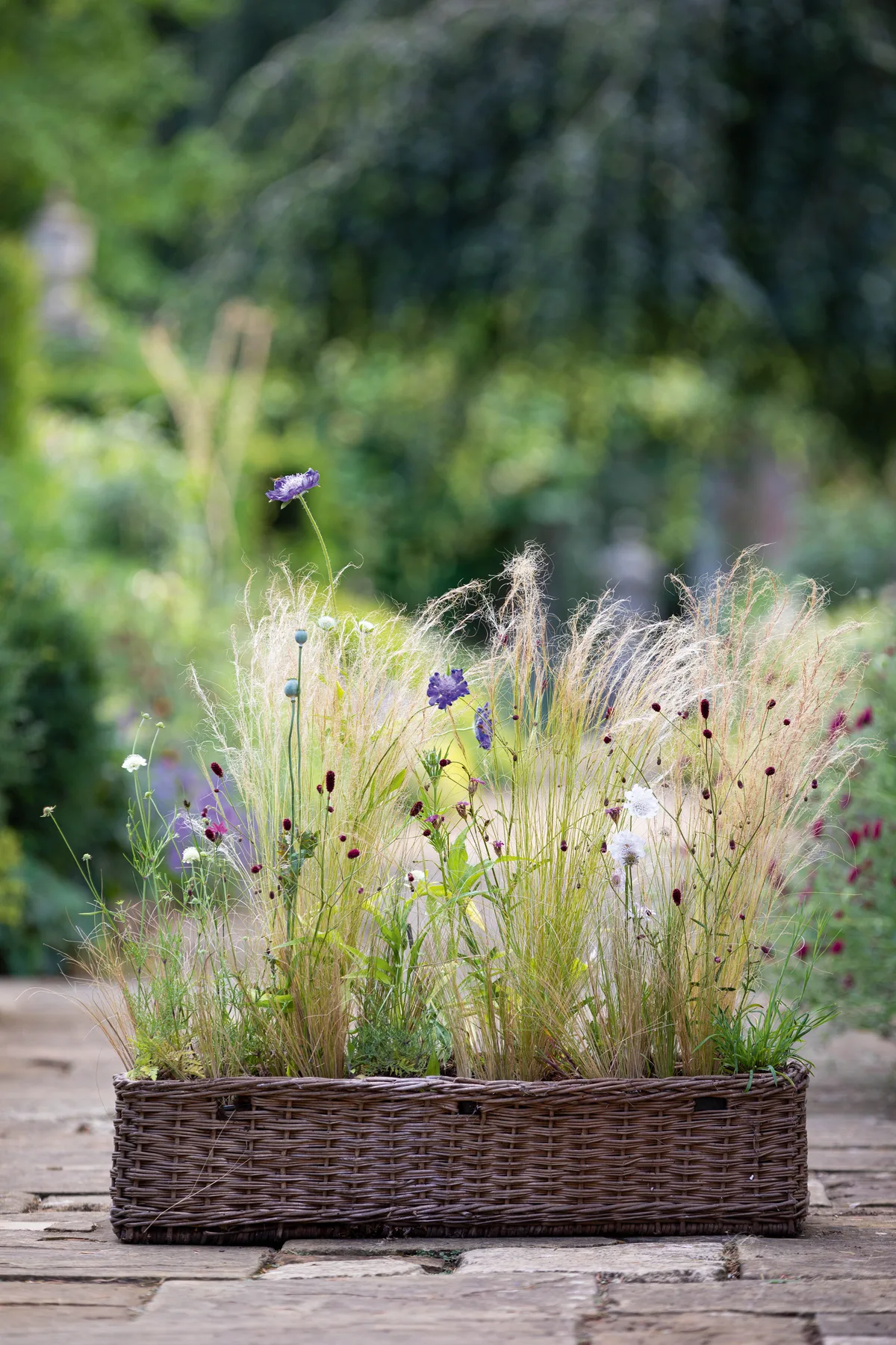 Summer meadow planter