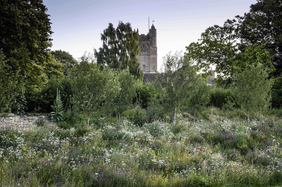 Making the most of the good drainage provided by the steep bank beneath the wall, Jo has introduced a thyme meadow that tumbles down into the main meadow mix from Emorsgate Seeds, which is based down the road from Jo’s farmhouse. The tall spires of Verbascum thapsus add vertical accents that link to the tower of the 14th-century village church beyond.