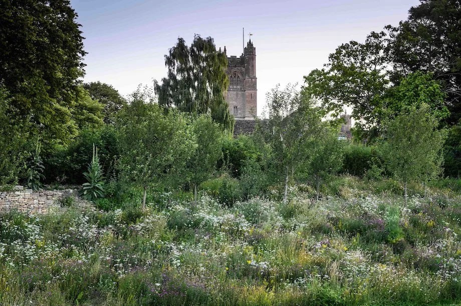 Making the most of the good drainage provided by the steep bank beneath the wall, Jo has introduced a thyme meadow that tumbles down into the main meadow mix from Emorsgate Seeds, which is based down the road from Jo’s farmhouse. The tall spires of Verbascum thapsus add vertical accents that link to the tower of the 14th-century village church beyond.
