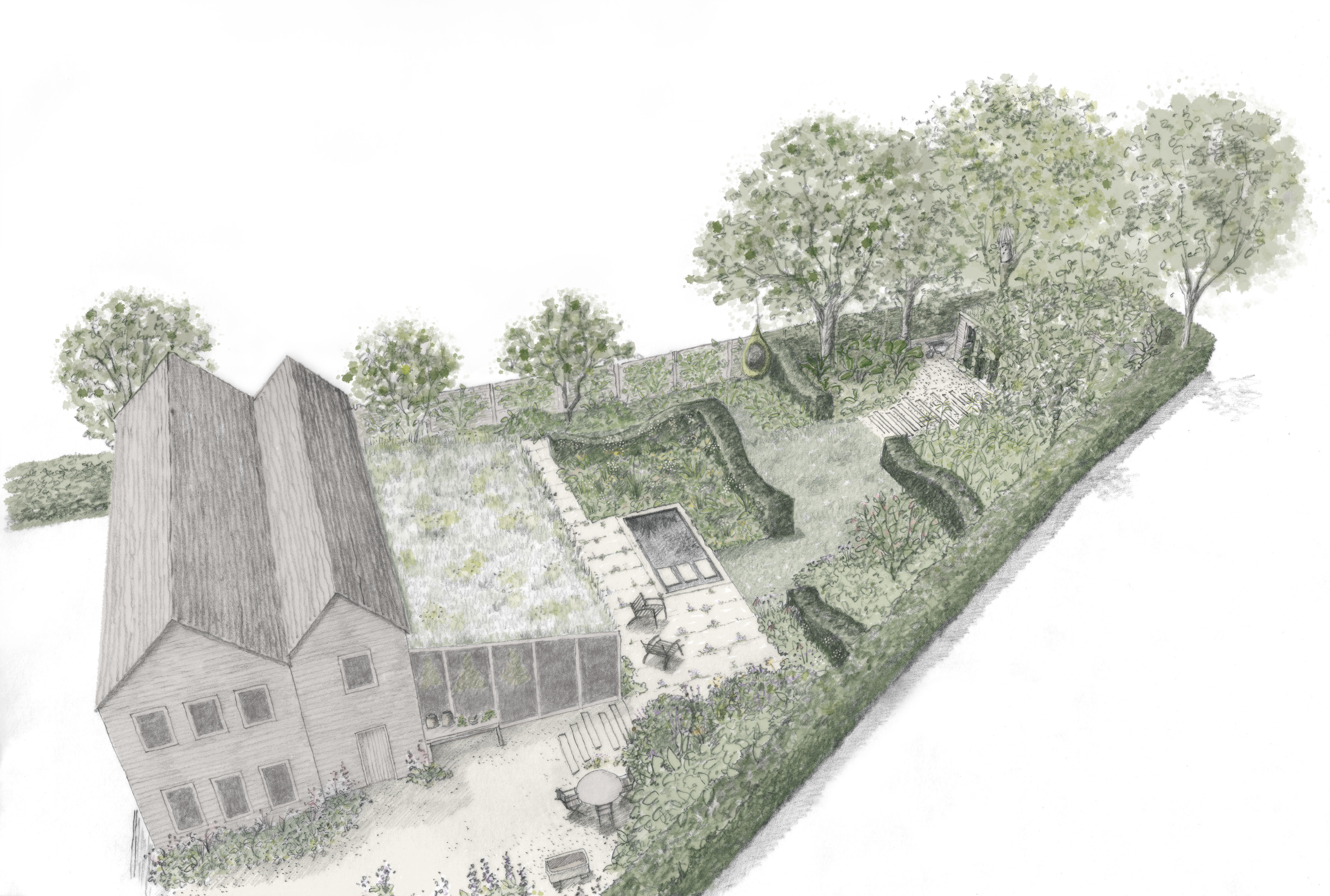 A Modern Apothecary Garden
