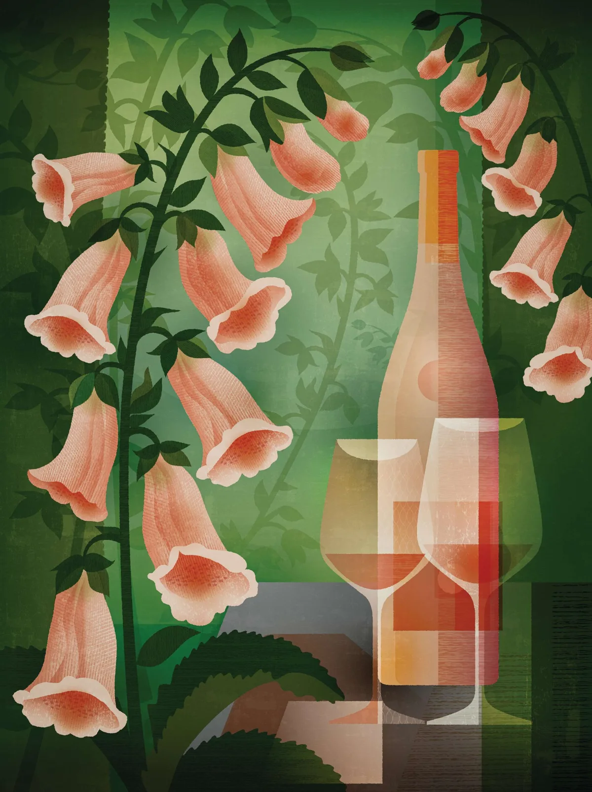 Foxgloves illustration