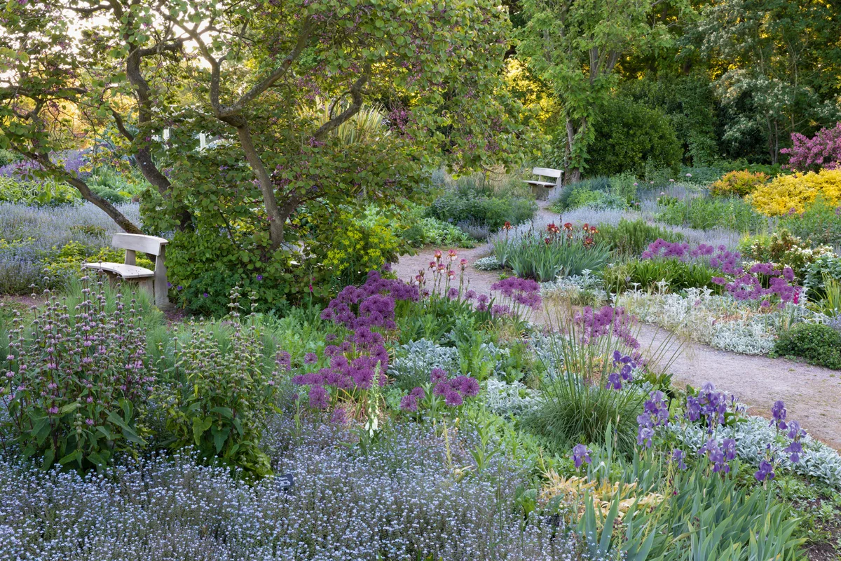 The Reservoir Garden at Beth Chatto Gardens in Spring.