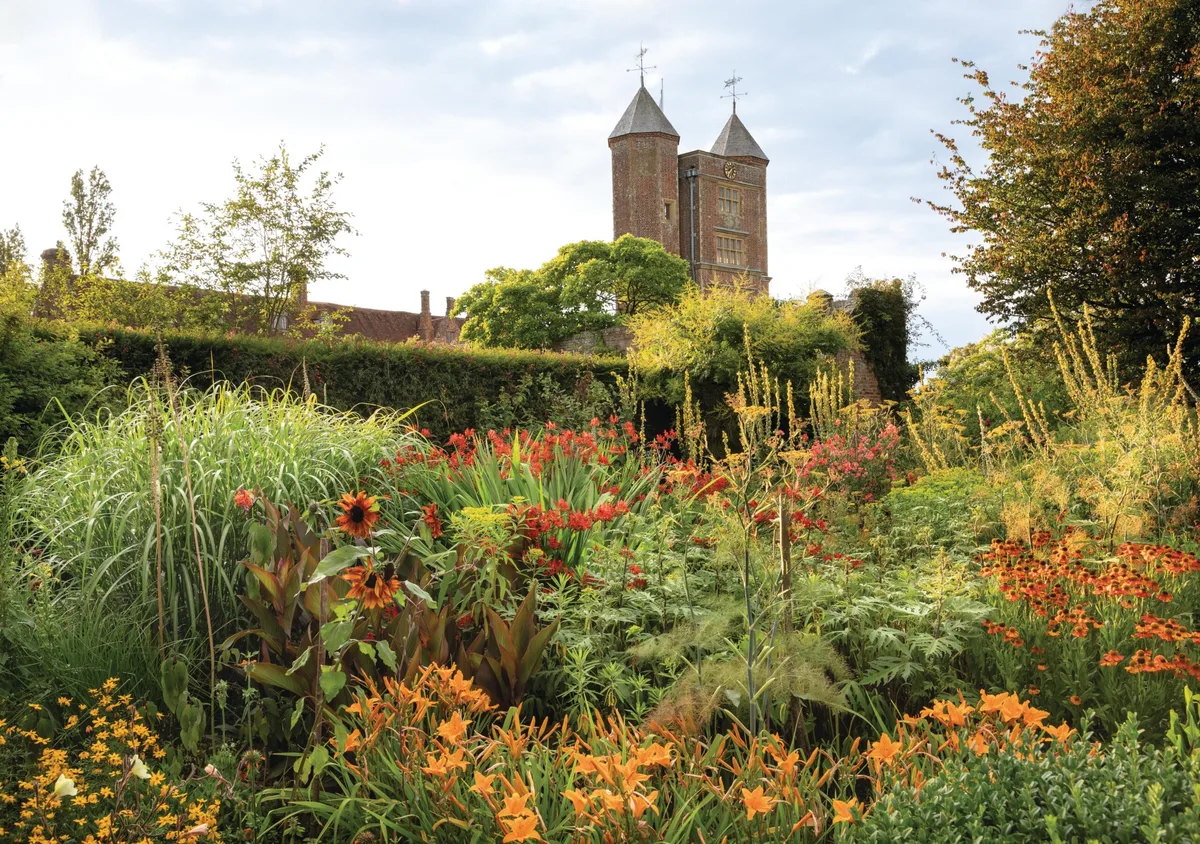 In high summer, the Cottage Garden at Sissinghurst is a riot of colour. The large, dark leaves of Canna ‘Wyoming’ and bright-red flowers of Crocosmia ‘Lucifer’, alongside orange daylily blooms, bring not only hot colours but lush foliage to give the space a jungle-like feel. Old cultivars also feature, including peachy-red Lathyrus odoratus ‘Henry Eckford’, bred in 1906, and, far right, rusty-hued Helenium ‘Moerheim Beauty’.