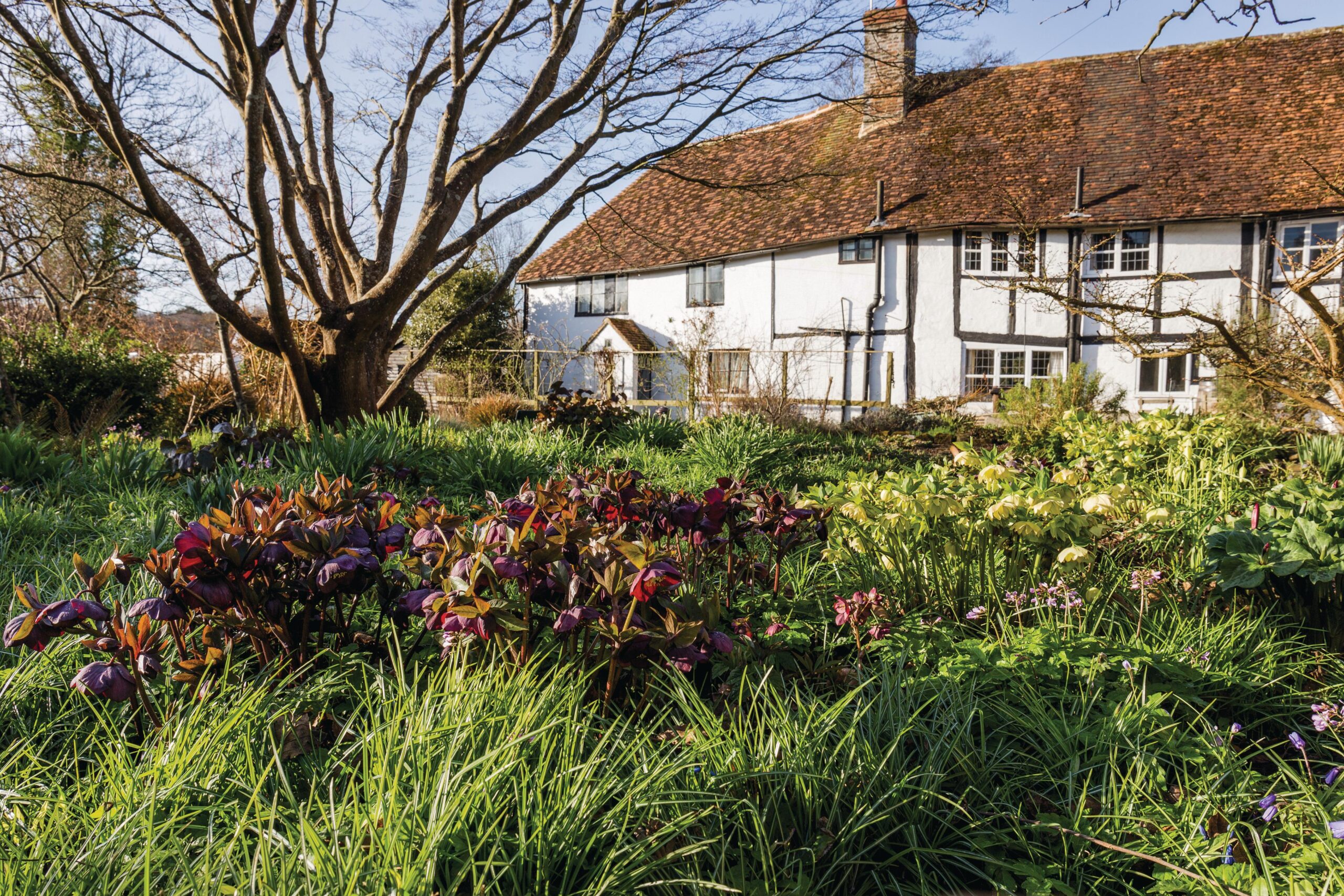 Elizabeth Strangman's garden in East Sussex