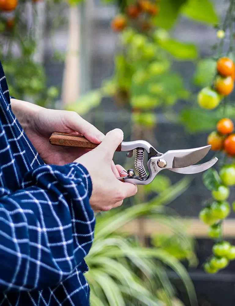 Person using Burgon & Ball National Trust Secateurs