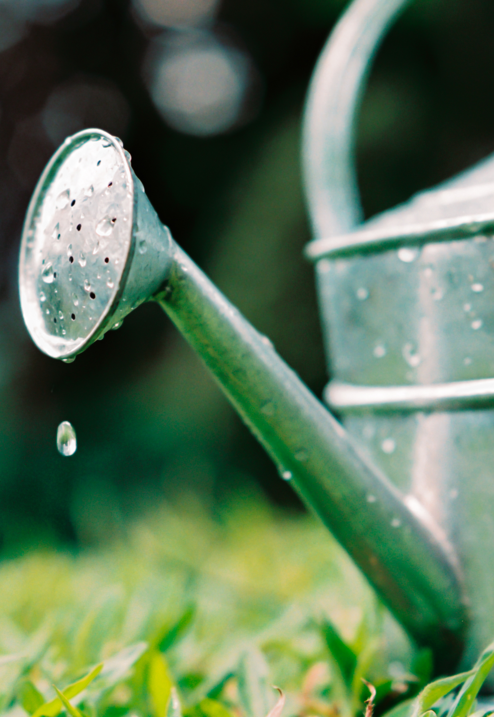Watering can