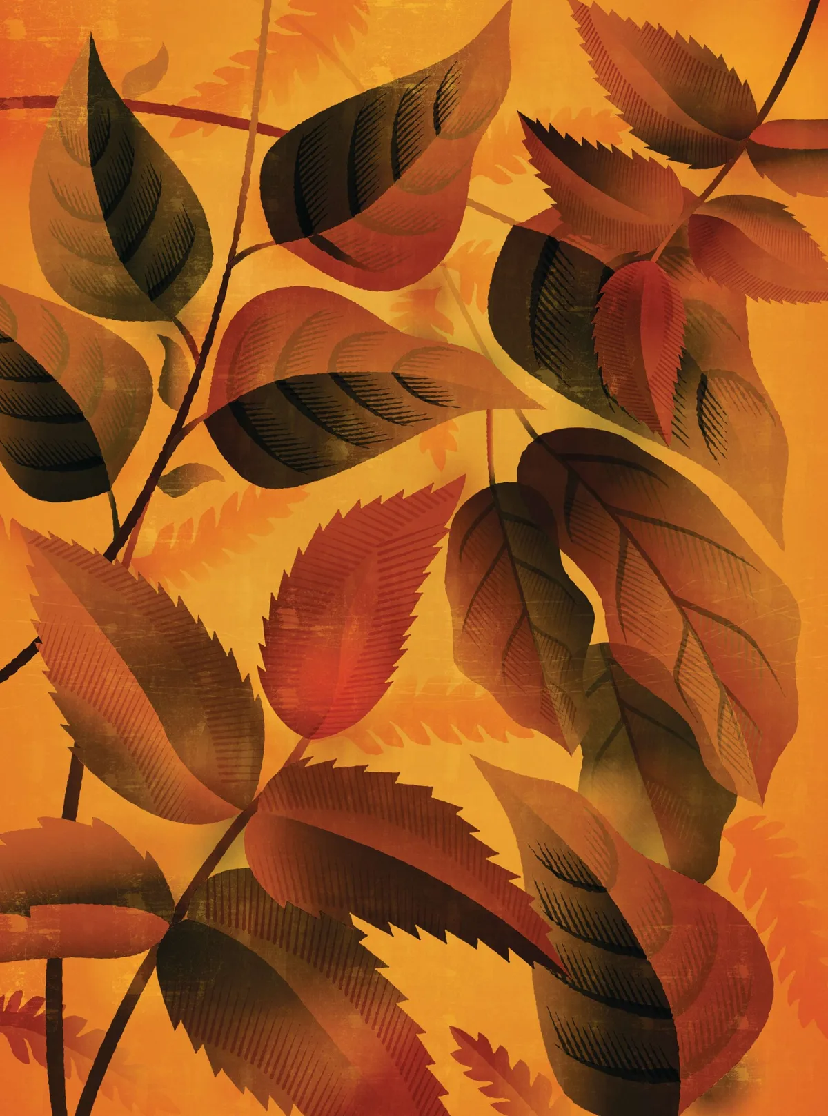 Autumn leaves illustration