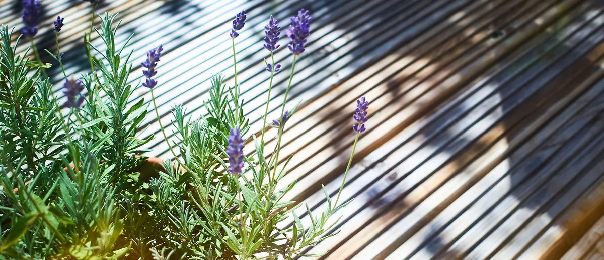 A decking patio