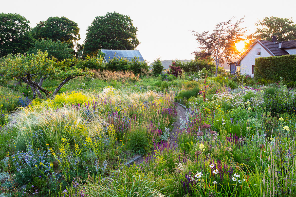 Finalist in the Beautiful Gardens Category and shot for Gardens Illustrated for the June 2023 issue - Klinta, Peter Korn's Home Garden - © Claire Takacs