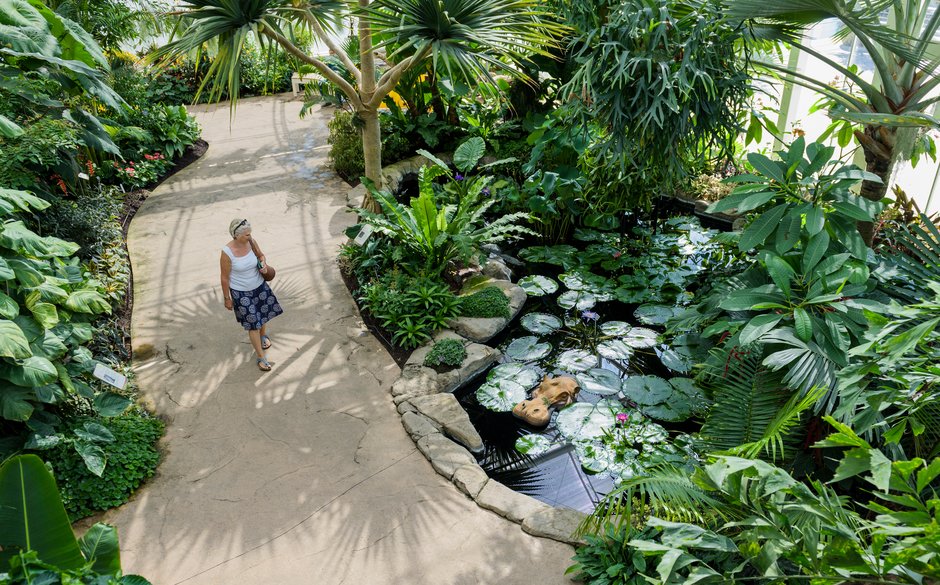 RHS Garden Wisley tropical zone