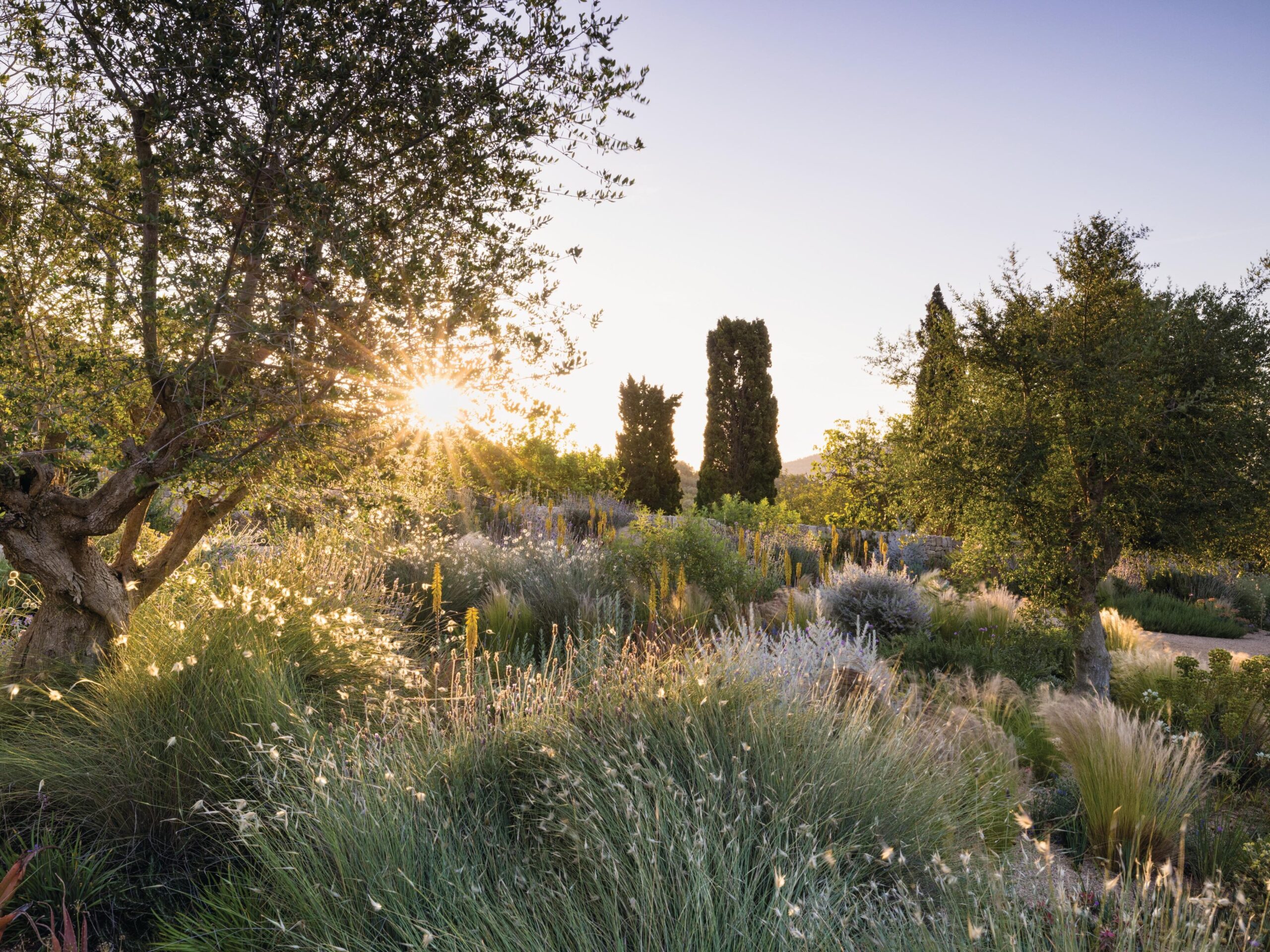 Mediterranean garden in sunshine