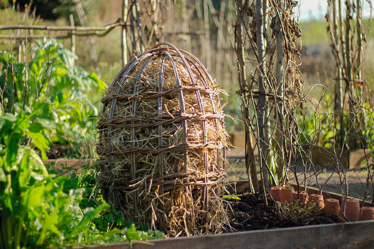 Bell shaped cloche