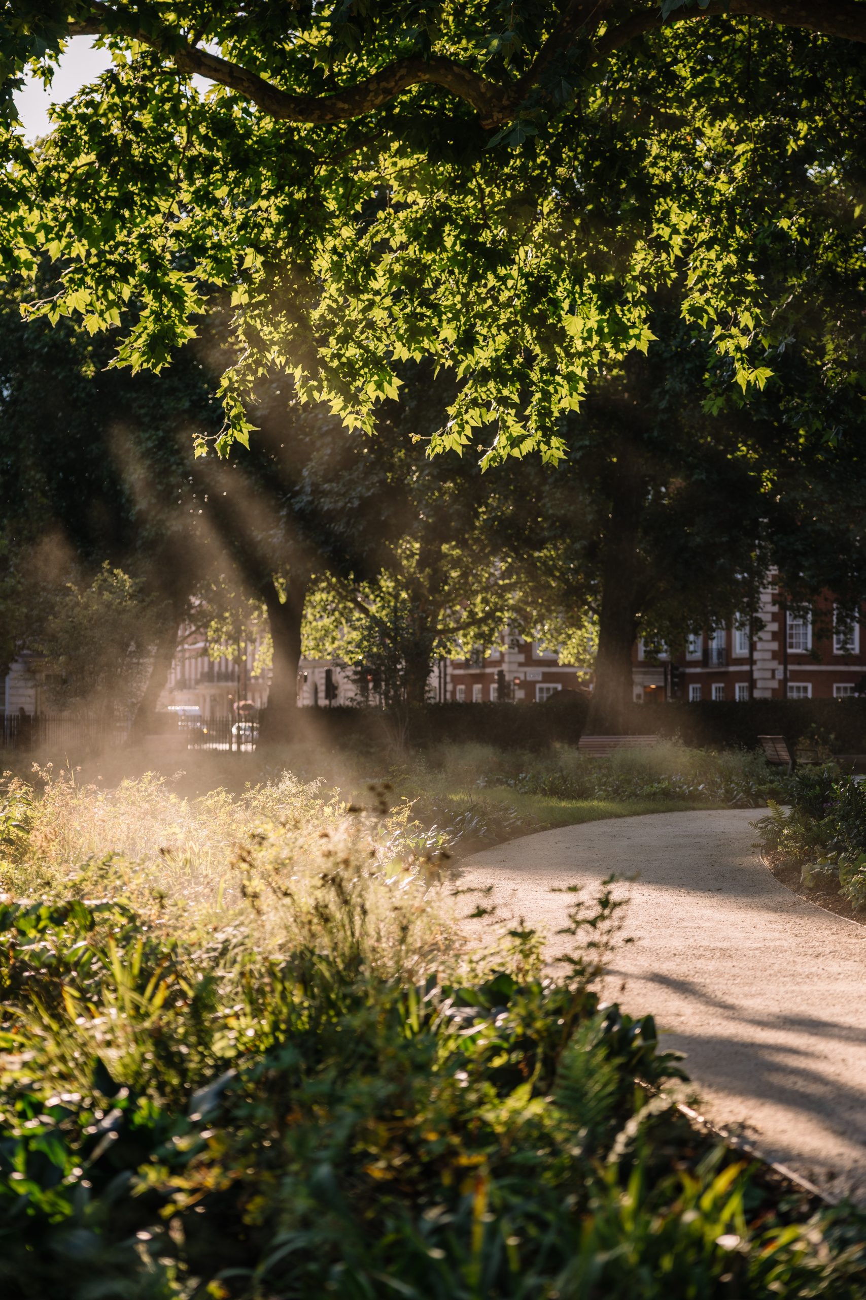 Grosvenor Square Gardens