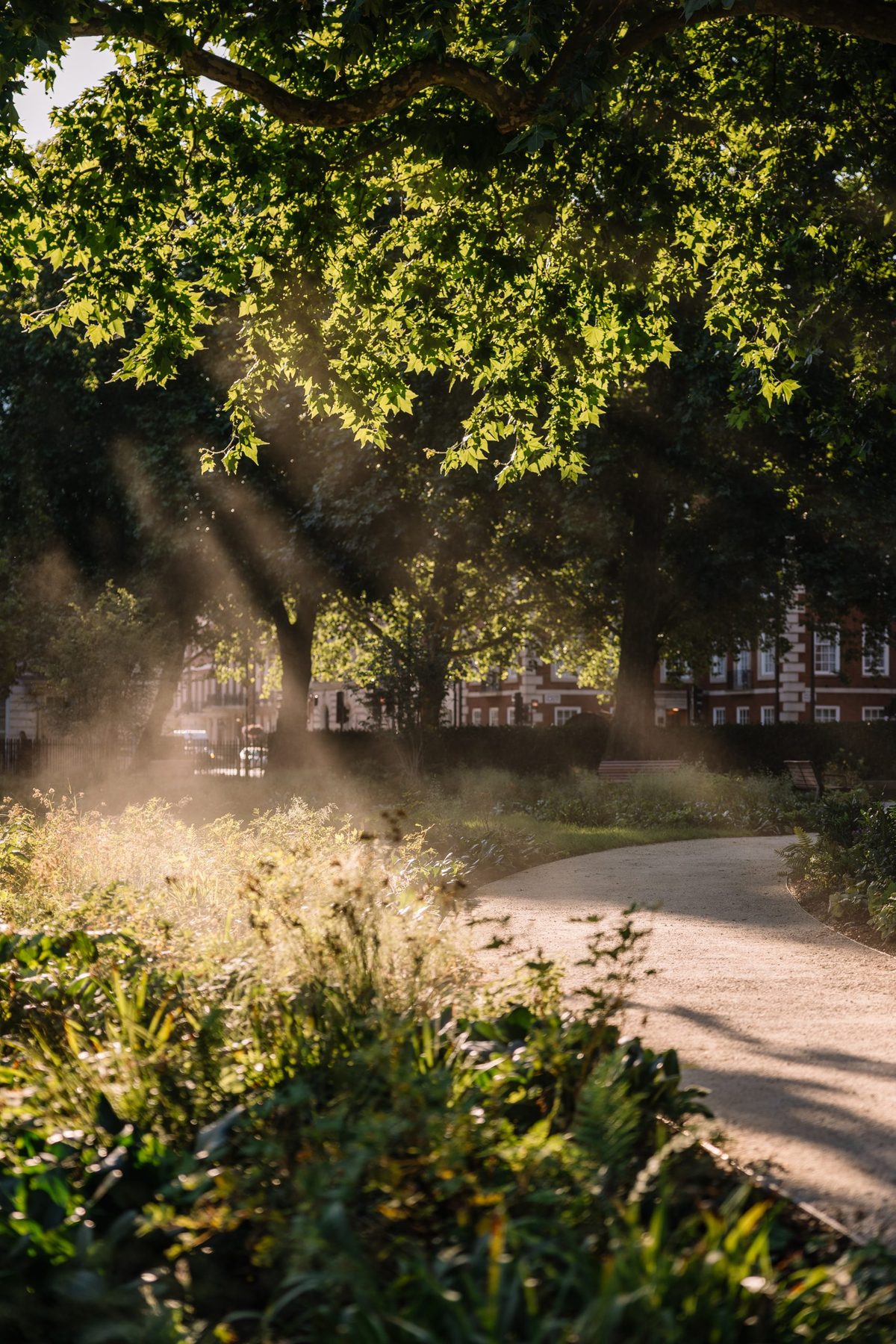 One of Professor Nigel Dunnett's final completed projects will open to the public this month in London