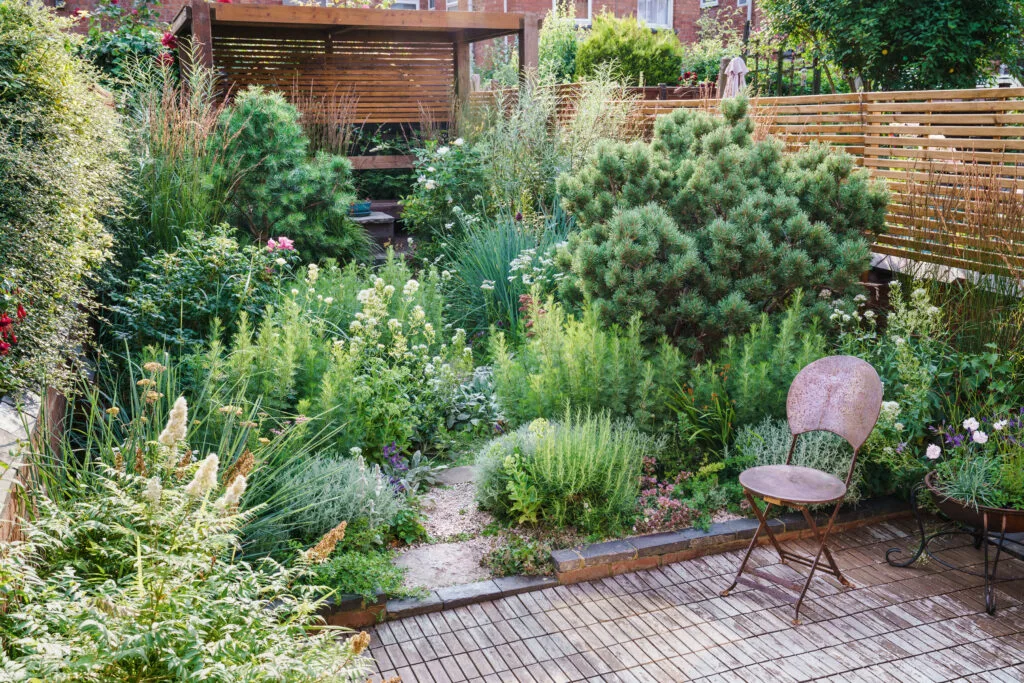Ula Maria's garden