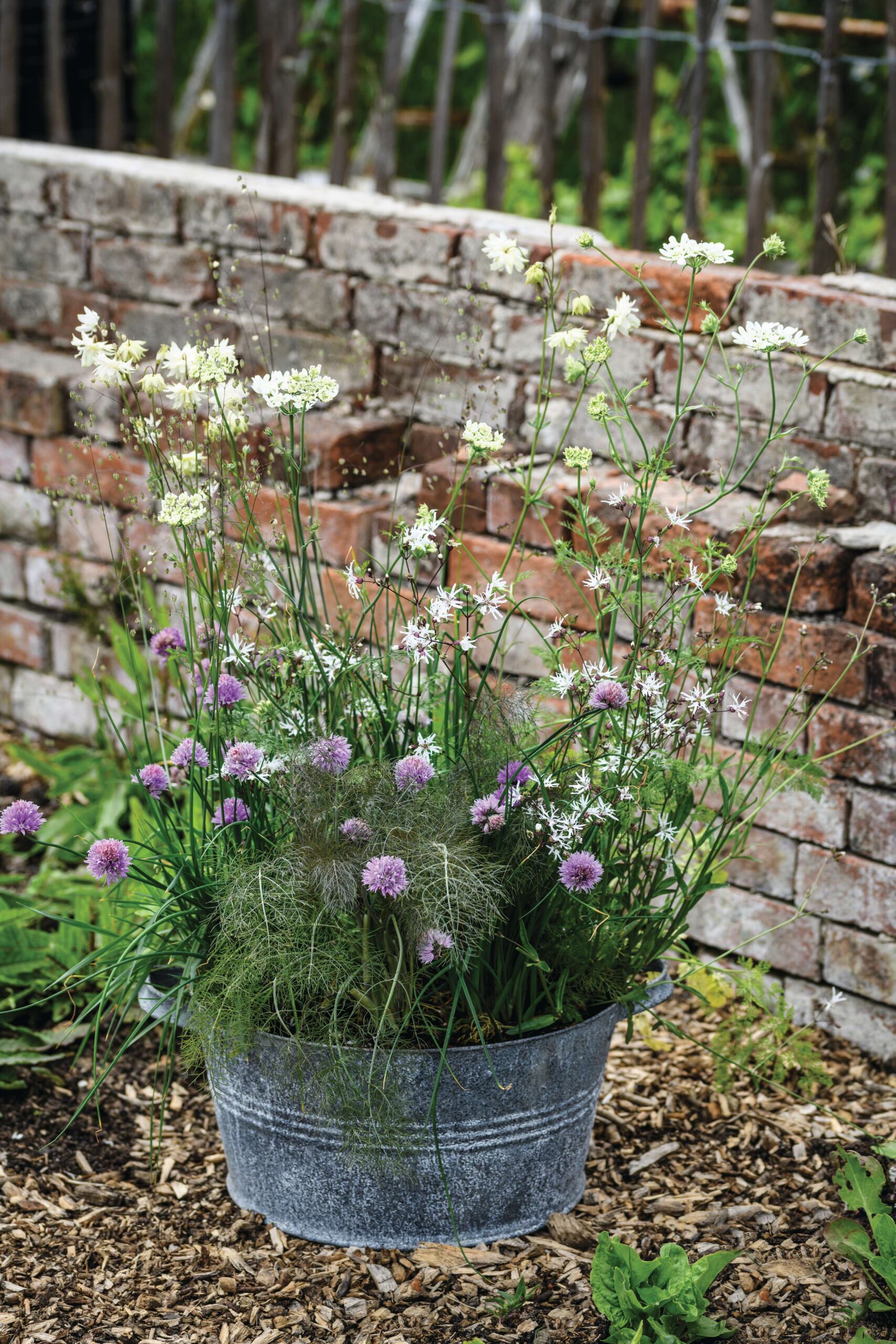 Edibles in a bath container: Pots of Style with Jo Thompson