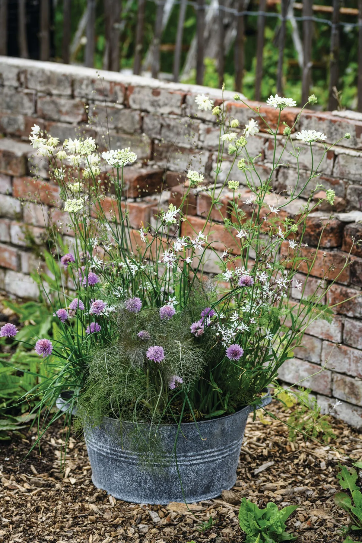 Edibles in a bath container: Pots of Style with Jo Thompson