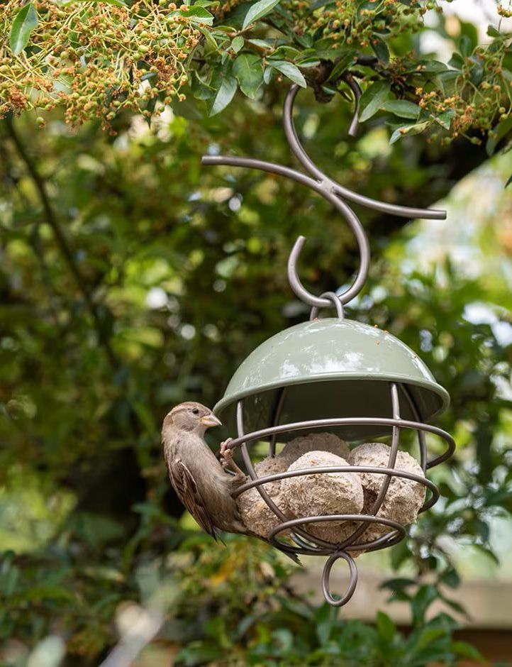 Crocus Satellite fat ball feeder with bird feeding
