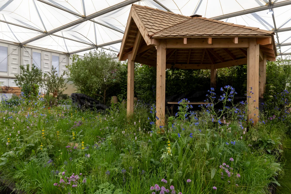Bowel Research UK Microbiome Garden at RHS Chelsea Flower Show 2024. Designed by Chris Hull and Sid Hill. Sponsored by Project Giving Back. All About Plants.