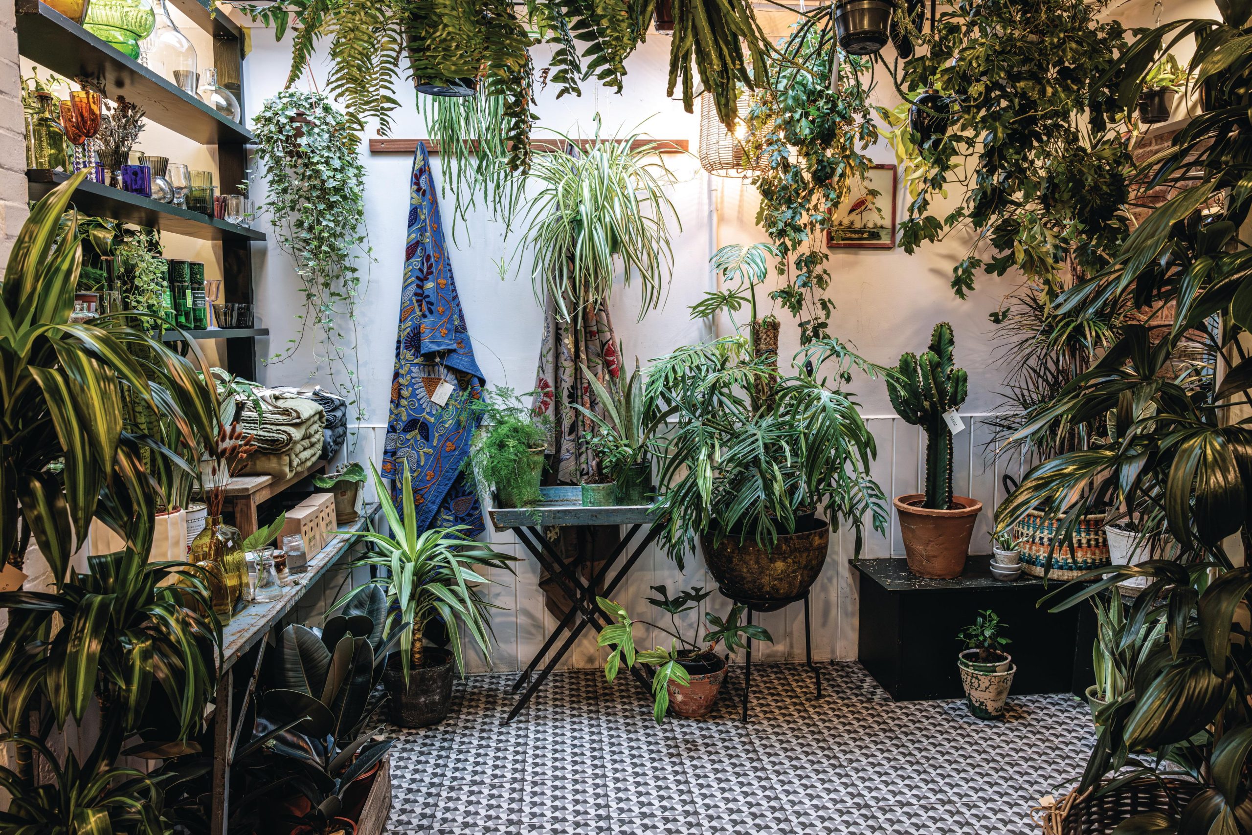 Houseplant shop interior
