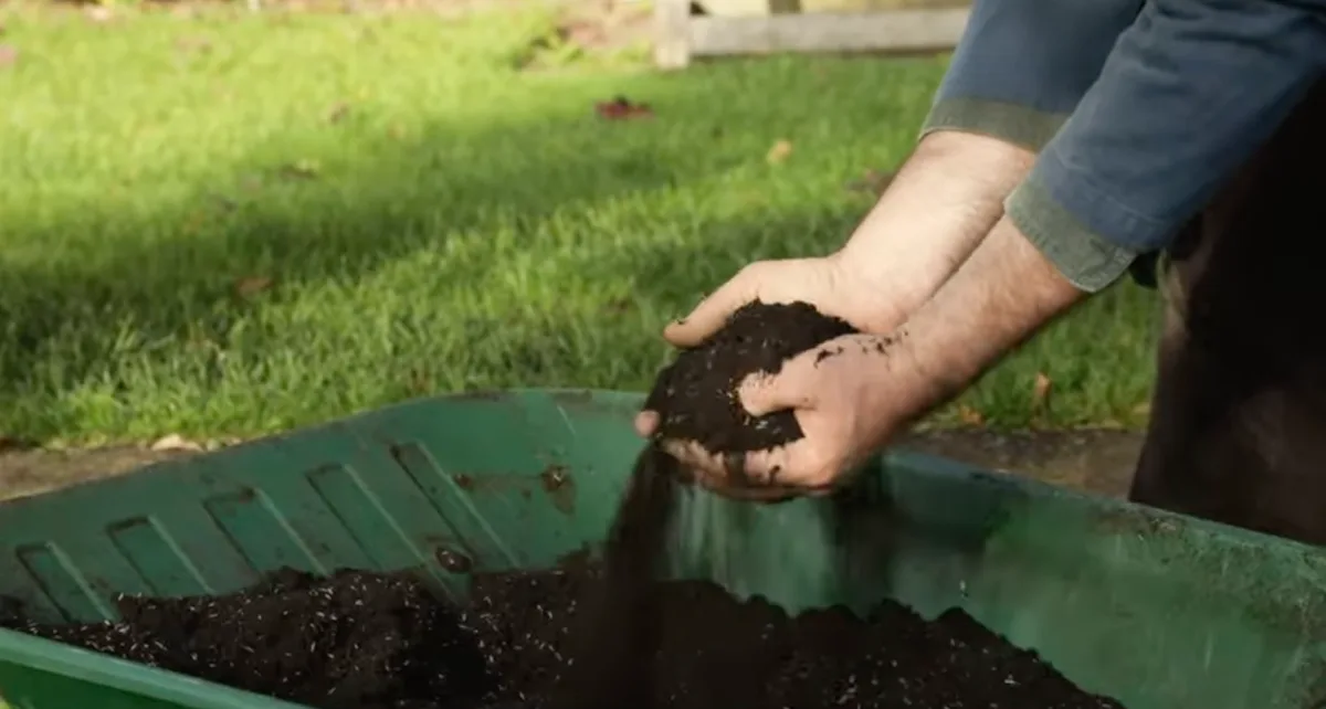 Preparing grass seed for sowing
