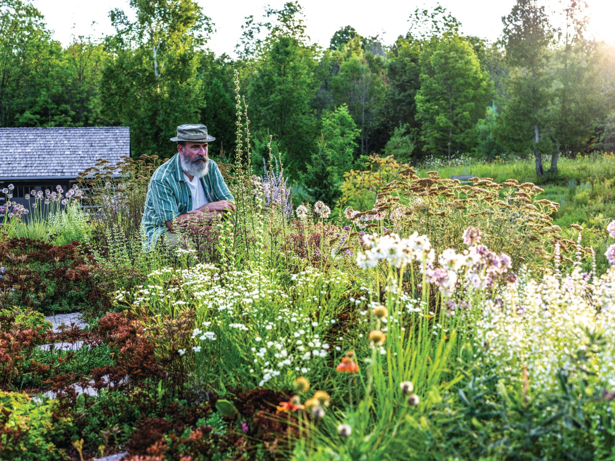 Tony Spencer and his roof garden in August