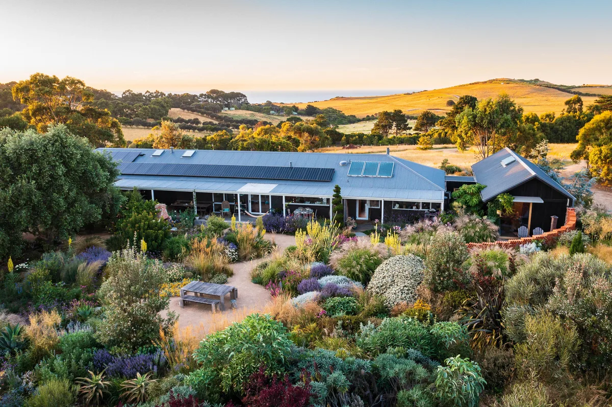 Jo Ferguson's garden in Australia