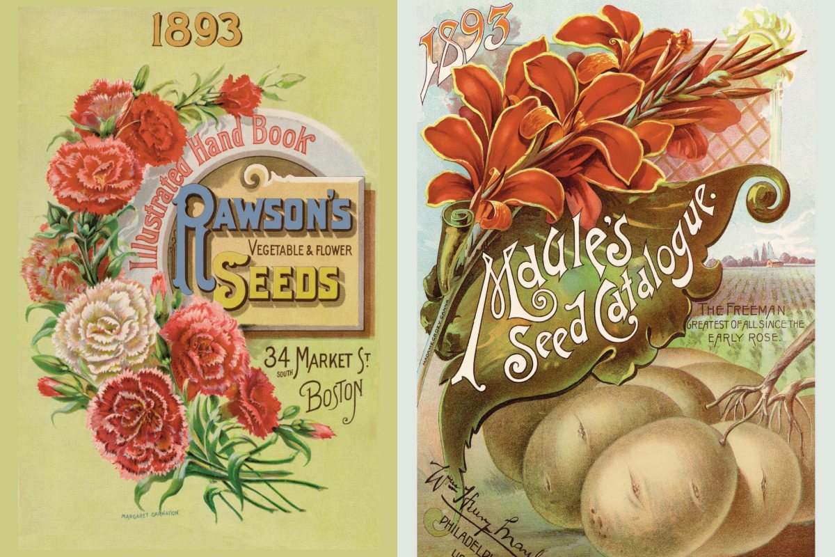 Seed catalogues