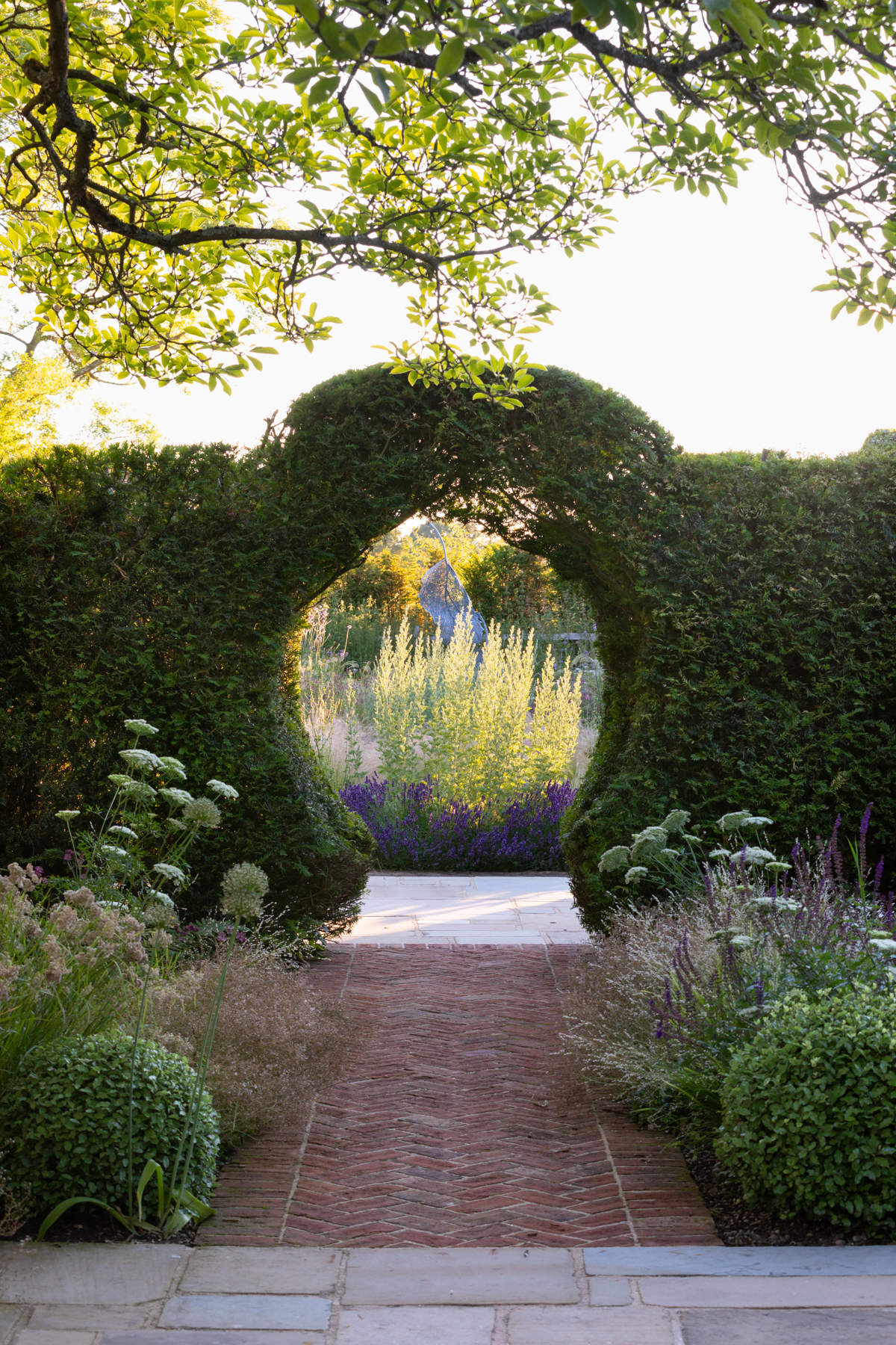 The yew hedge in Sue Townsend's design