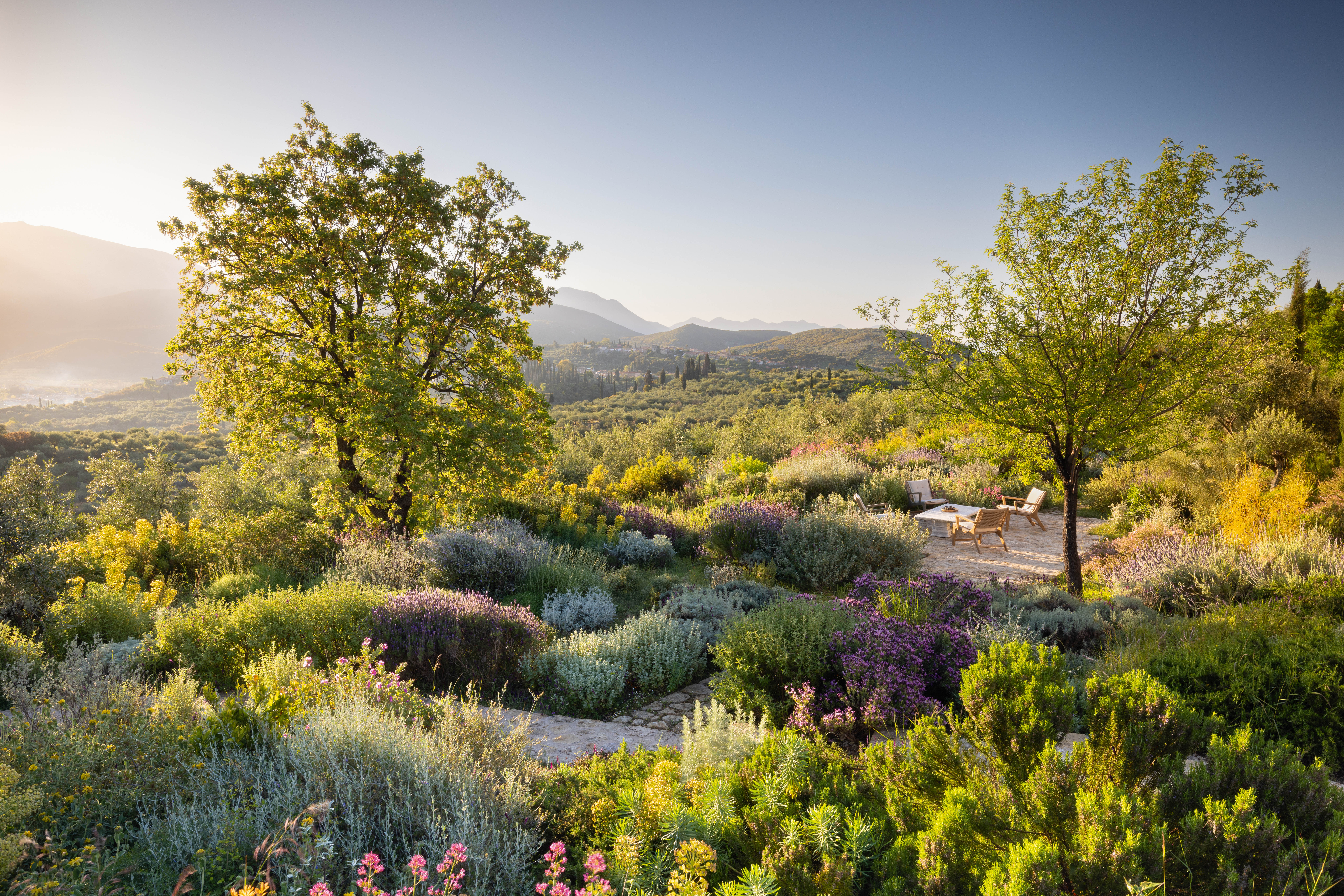 Ilias Holidays garden designed by Tania Compton, Greece.