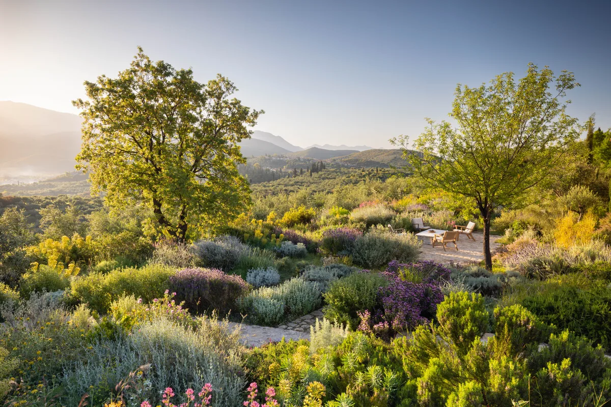 Ilias Holidays garden designed by Tania Compton, Greece.