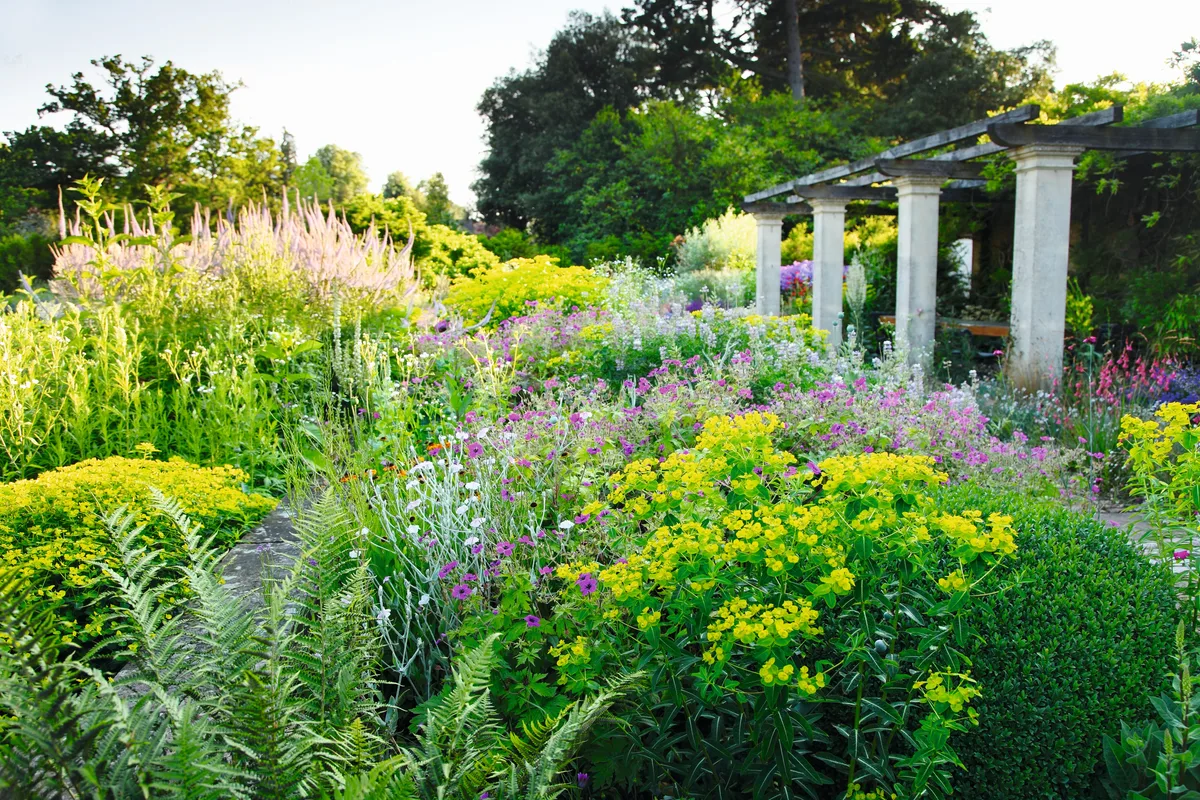 Summer borders at Malverleys