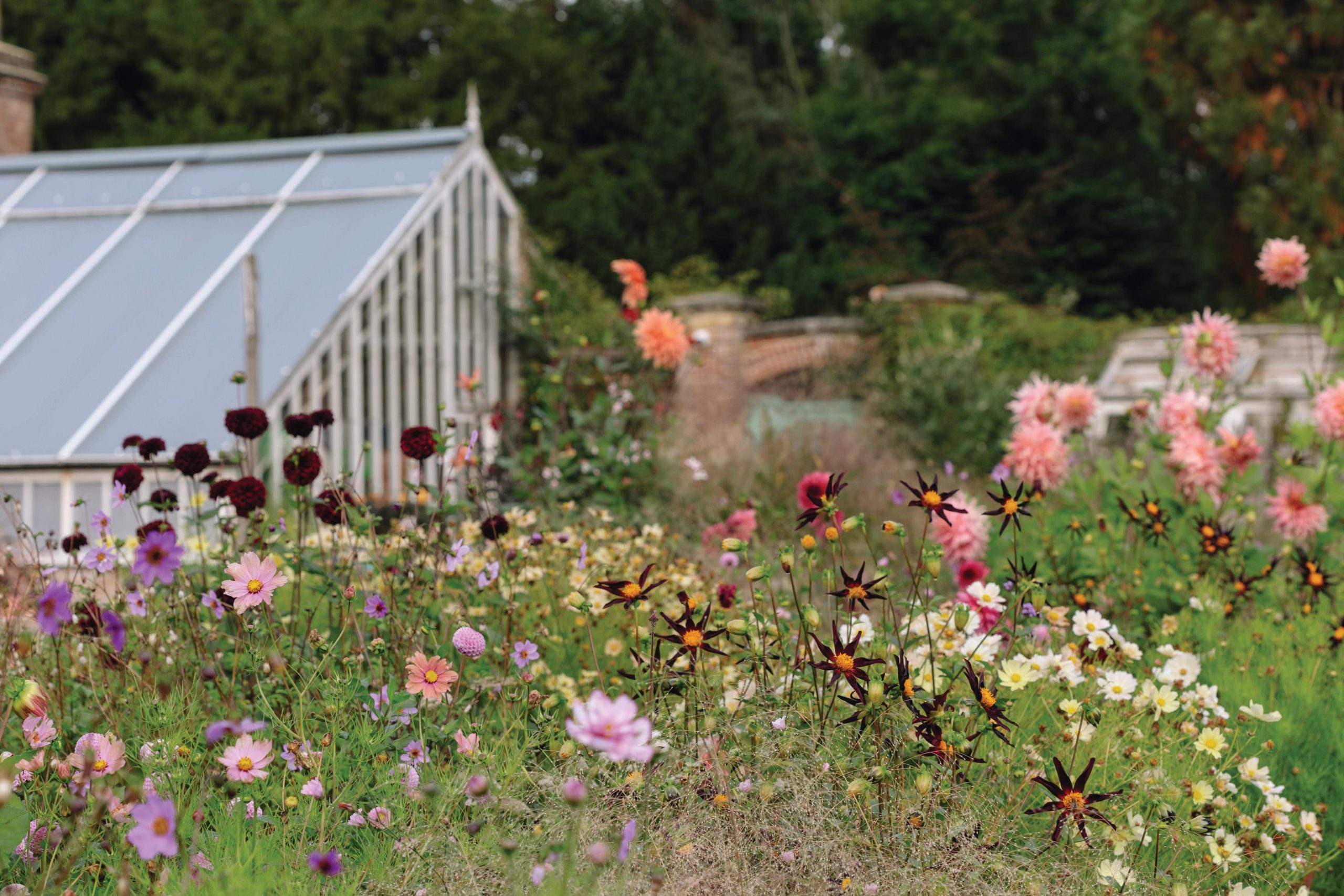 A brightly coloured late summer border brings a Victorian walled garden firmly into the 21st century