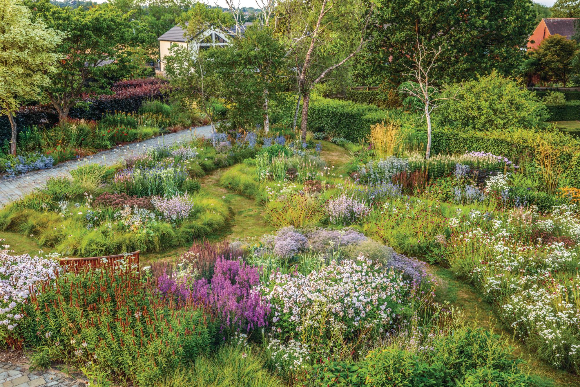 A meadow garden with colourful flowers