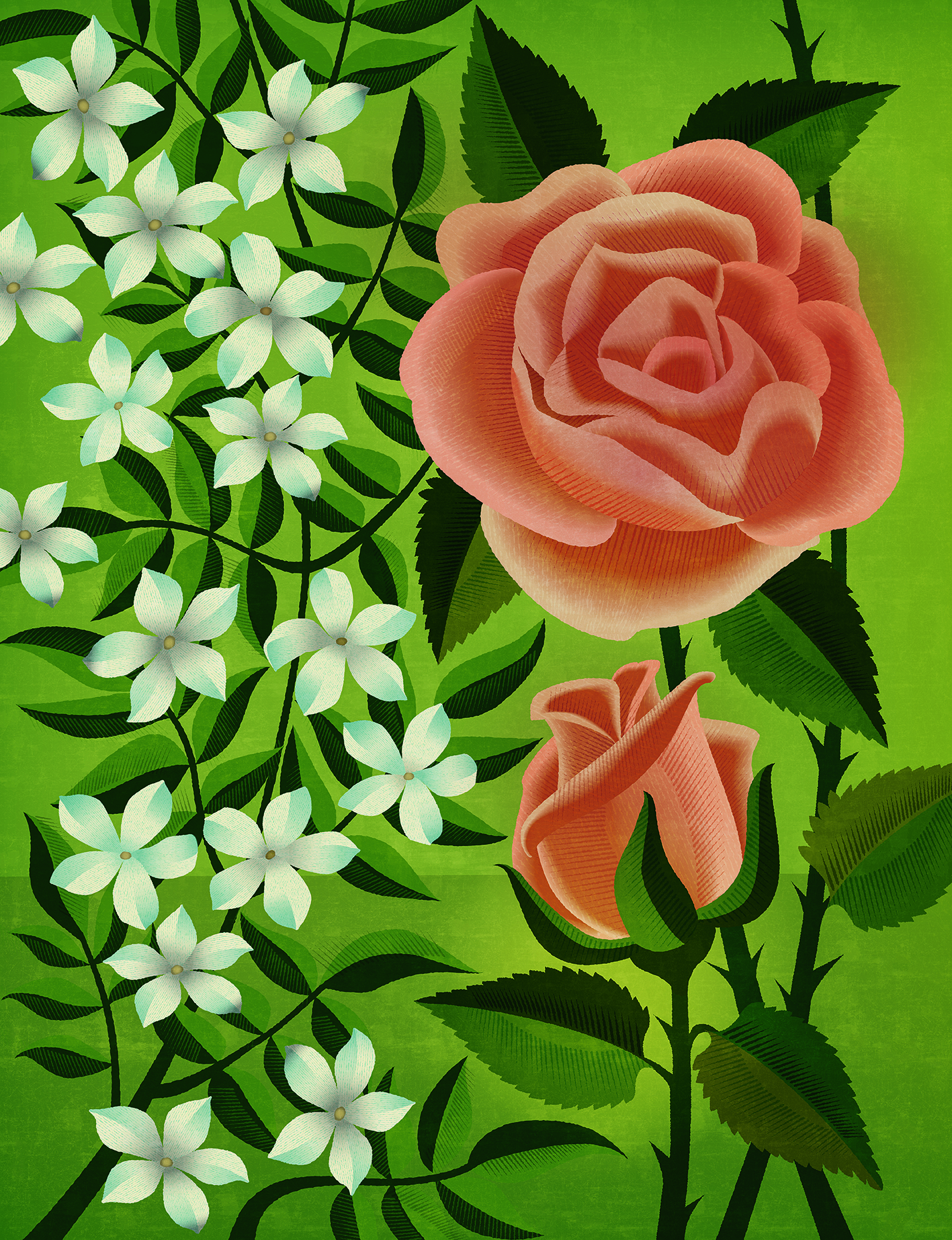 Nigel Slater's roses